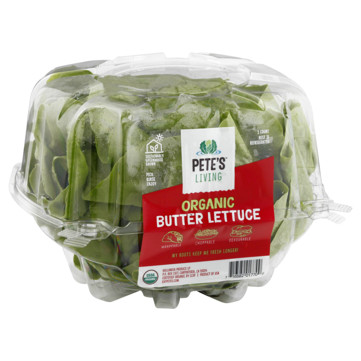 Petes Living Butter Lettuce, Organic - King Kullen