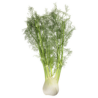 Fennel, 1 Each