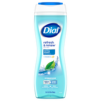 Dial Antibacterial Body Wash With Moisturizers Spring Water, 16 Ounce