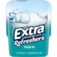Extra Refreshers Polar Ice Sugarfree Gum, 40 Each