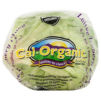 Cal-Organic Farms Organic Iceberg Lettuce Head, 1 Each