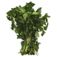 Organic Italian Flat Leaf Parsley Bunch