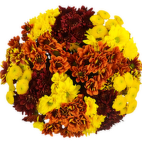 Bachman's Pom Medley Chrysanthemum Bouquet, 1 Each