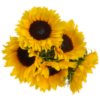 Bachman's Sunflowers, 5-Stem Bunch, 1 Each