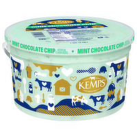 Kemps Mint Chocolate Chip Reduced Fat Ice Cream Family Size