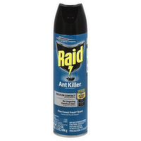 Raid Ant Killer Spray Fragrance Free, 17.5 Ounce