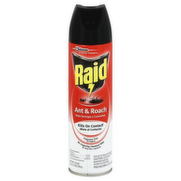 Raid Ant & Roach Killer Spray Unscented, 17.5 Ounce