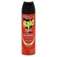 Raid Ant & Roach Killer Spray Outdoor Fresh Scent, 17.5 Ounce