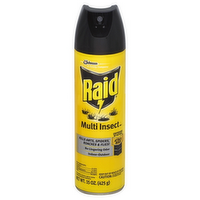 Raid Multi Insect Killer Spray, 1 Each