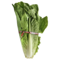 Romaine Lettuce, 1 Each