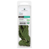 L&B Fresh Organic Mint Singles, 0.25 Ounce