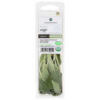 L&B Fresh Organic Sage Singles, 0.25 Ounce