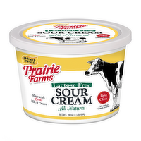 Prairie Farms Lactose Free Sour Cream, 16 Ounce