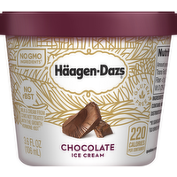 Haagen-Dazs Chocolate Ice Cream Cup, 3.6 Ounce