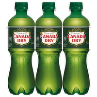 Canada Dry Ginger Ale, 6 Each