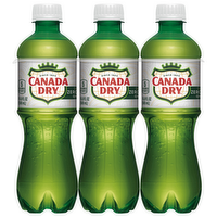 Canada Dry Zero Sugar Ginger Ale, 6 Each