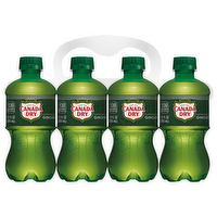 Canada Dry Ginger Ale, 8 Each