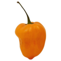 Habanero Peppers, 1 Each