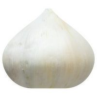 Fresh Garlic Bulb