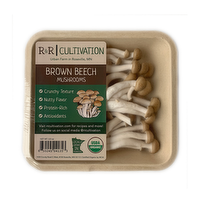 R&R Cultivation Organic Brown Beech Mushrooms, 3.5 Ounce