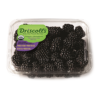 Driscoll's Organic Blackberries, 12 Ounce