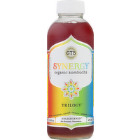 GT's Synergy Trilogy Kombucha Beverage, 16 Ounce