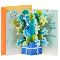 Hallmark Paper Wonder Pop Up Birthday Card (Someone to Celebrate), 1 Each