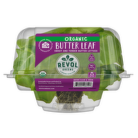 Revol Greens Organic Butter Leaf Lettuce Head, 1 Each