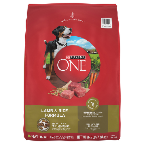 Purina One SmartBlend Lamb and Rice Dry Dog Food