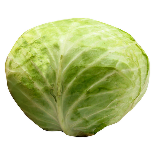 Organic Green Cabbage Head