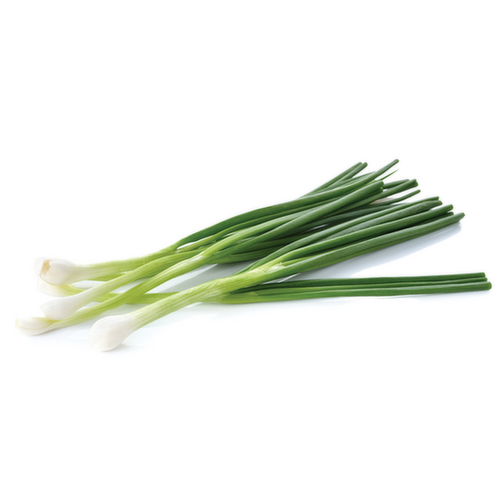 Organic Green Onions Bunch