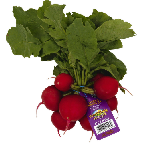 Organic Red Radishes Bunch with Green Tops