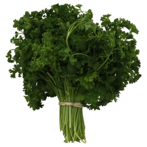 Organic Curly Parsley Bunch