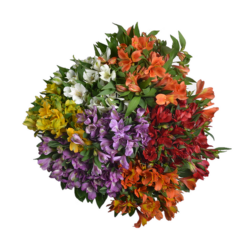 Bachman's Alstroemeria Bouquet, Assorted Colors