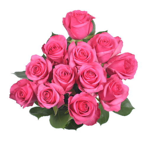 Bachman's Roses, Assorted Colors, 12-Stem Bunch