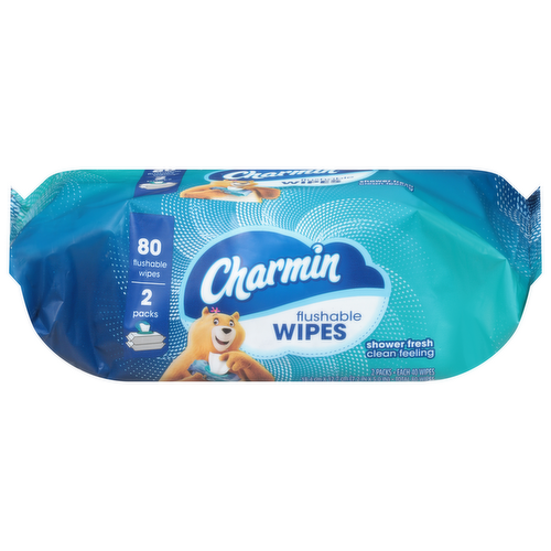 Charmin Flushable Wipes with Flip Top Dispenser