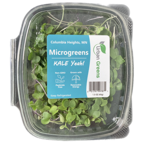 Urban Greens Microgreens Kale Yeah!