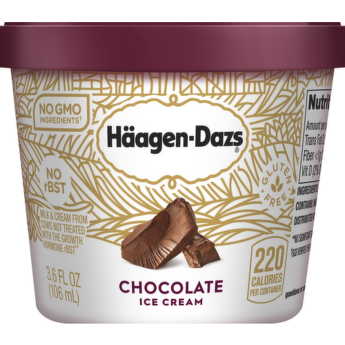 Haagen-Dazs Chocolate Ice Cream Cup