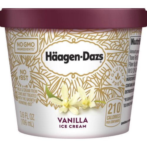 Haagen-Dazs Vanilla Ice Cream Cup
