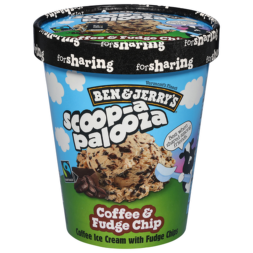 Ben & Jerry's Scoop-A-Palooza Coffee & Fudge Chip Ice Cream