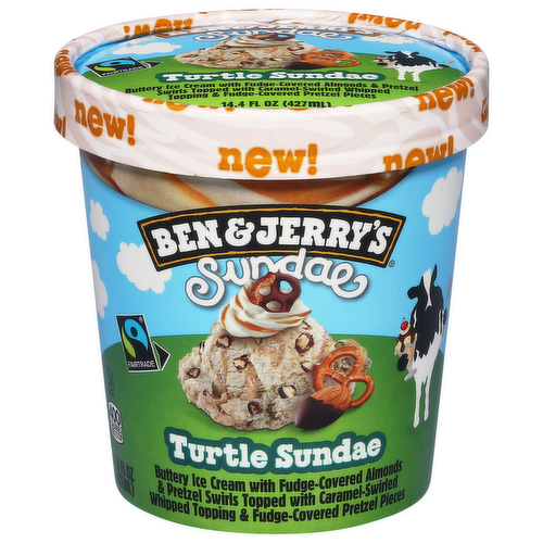 Ben & Jerry's Sundae Turtle Sundae Ice Cream