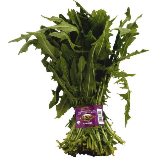 Organic Dandelion Greens Bunch