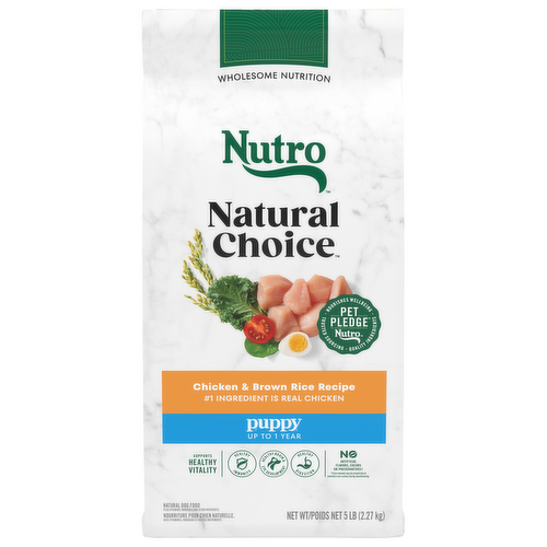 Nutro Original Puppy Dry Dog Food