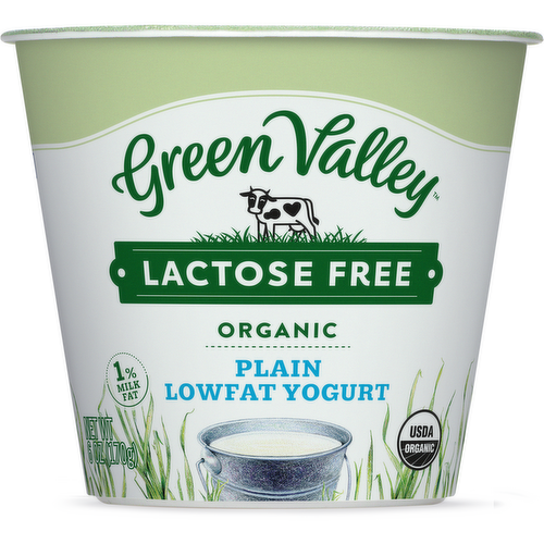 Green Valley Organics Lactose Free Plain Yogurt