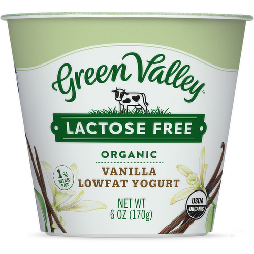 Green Valley Organics Lactose Free Vanilla Yogurt