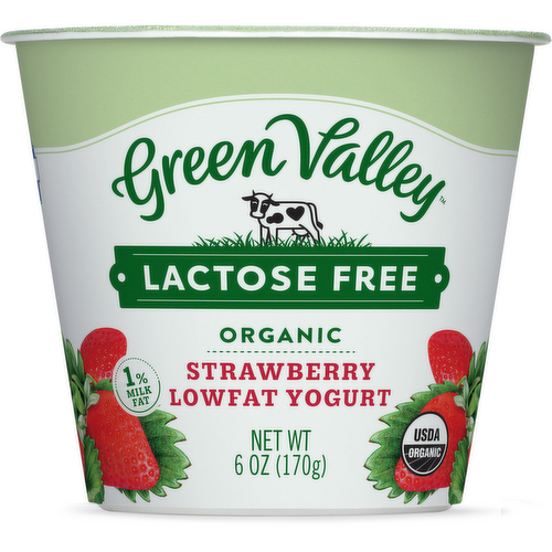 Green Valley Organics Lactose Free Strawberry Yogurt