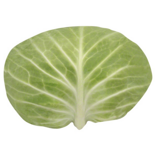 Green Cabbage