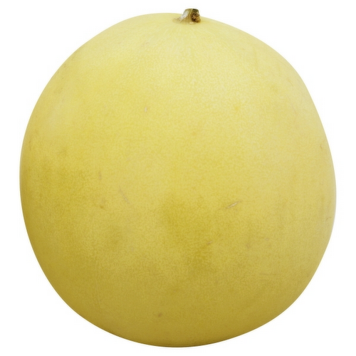 Honeydew Melon