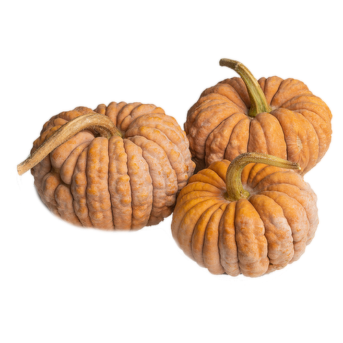 Organic Black Futsu Pumpkin