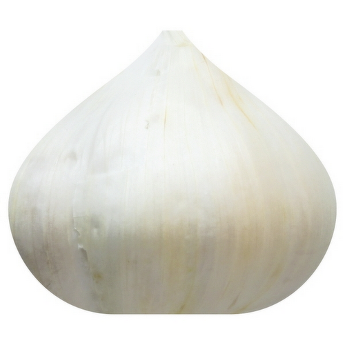 Fresh Garlic Bulb